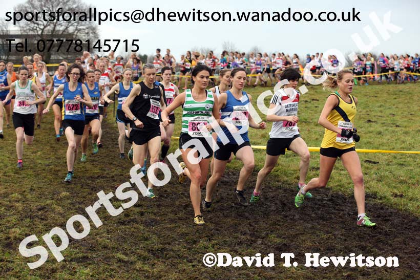 Senior womens North Eastern Cross Country, Aykley Heads, Durham. Photo: David T. Hewitson/Sports for All Pics
